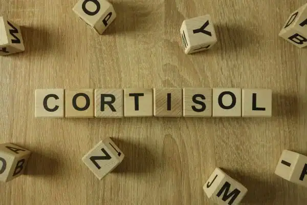 The Hidden Connection: How Stress Shapes Your Fitness and Body Composition 2 Image saying "Cortisol" and how stress Doancaster impacts your wellbeing and bodies shape